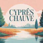 Illustration cyprès chauve marais eau racines aériennes